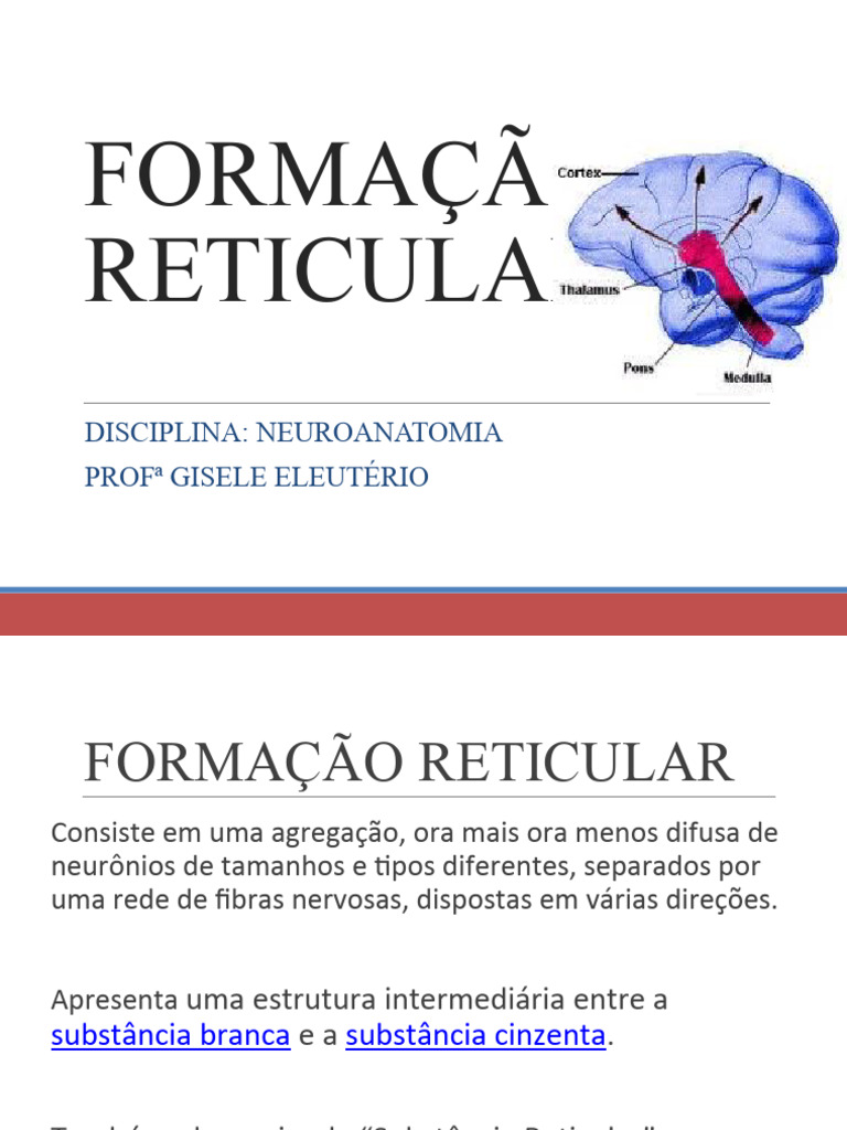 Funções da Formação Reticular | PDF | Anatomia | Fisiologia