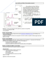 TP Transcription Entier