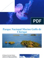 Golfo de Chiriquí Turismo
