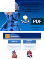 2 Nociones Generaes en Anatomía