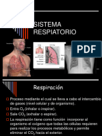7 Sistema Respiratorio