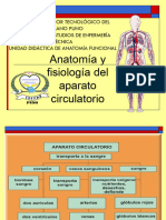 8 Sistema Circulatorio