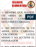 Decalogo de Seguridad Con Armas de Fuego