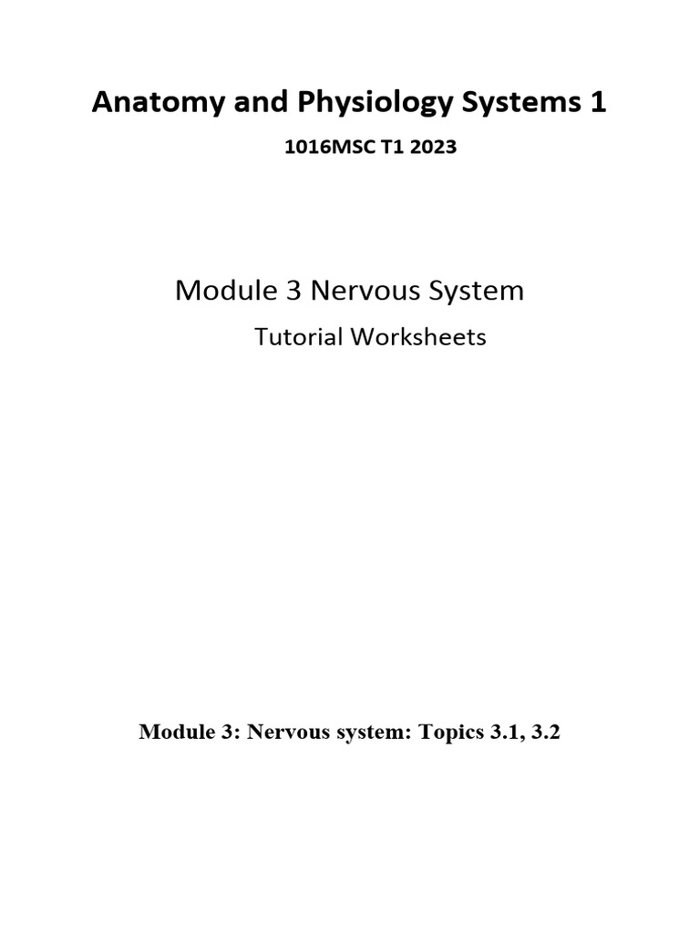 Nervous System Overview and Worksheets | PDF | Chemical Synapse | Neuron