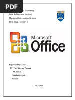 Ms Office1