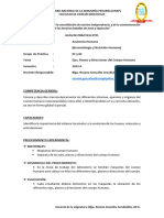 Guia Practica 01-AH-Ejes Planos y Direcciones-2023-II