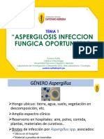 Tema1 - Aspergilosis Infeccion Fungica Oportunista