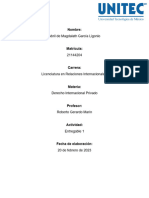 Derecho Internacional Entregable 1