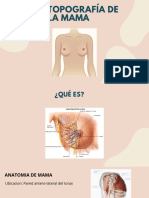 Presentacion Anatomia Humana Medicina Con Diagramas Bonita Colores Pastel