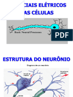 Aula 4 - Potenciais de Membrana e de Ação