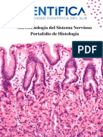 Morfofisiología Del Sistema Nervioso Portafolio de Histología