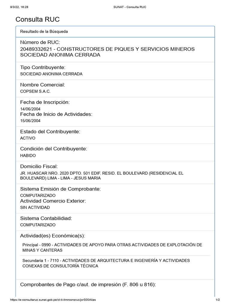ANEXO 1G Consulta RUC SUNAT PDF