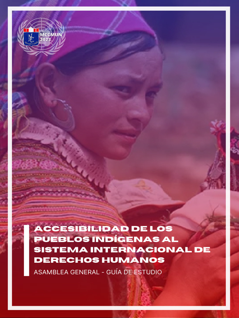 Acceso de indígenas a derechos humanos | PDF | Igualdad de género ...
