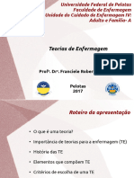 Slides Teorias de Enfermagem UFP