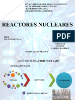 Lic-Reactores Nucleares