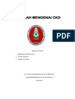 Makalah Mengenai CKD: Disusun Oleh: Helmita Rante Allo Inang Pianti Kepina Tandi