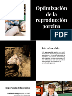 Wepik Optimizacion de La Reproduccion Porcina 20240219022007R1VM