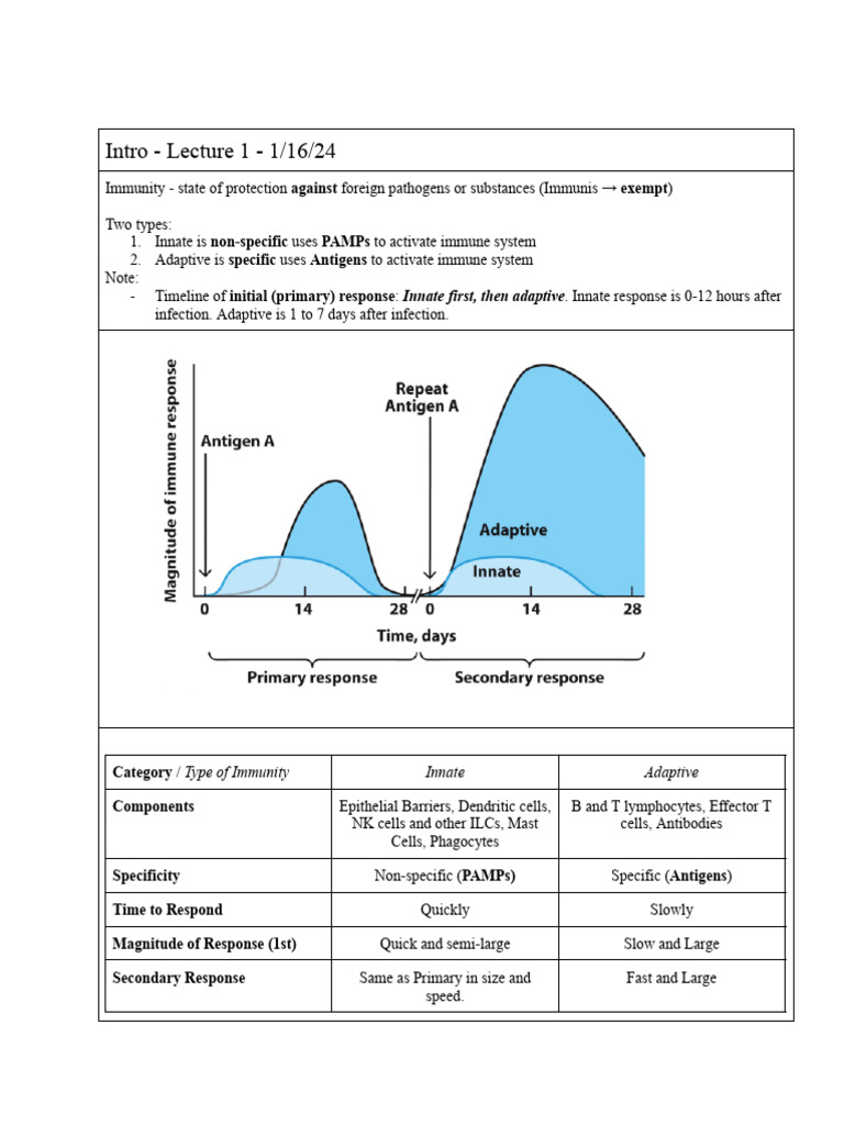 Overview of Innate and Adaptive Immunity | PDF | Immune System ...