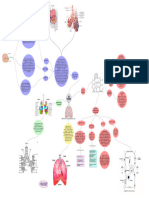 Mapa Mental Pulmón