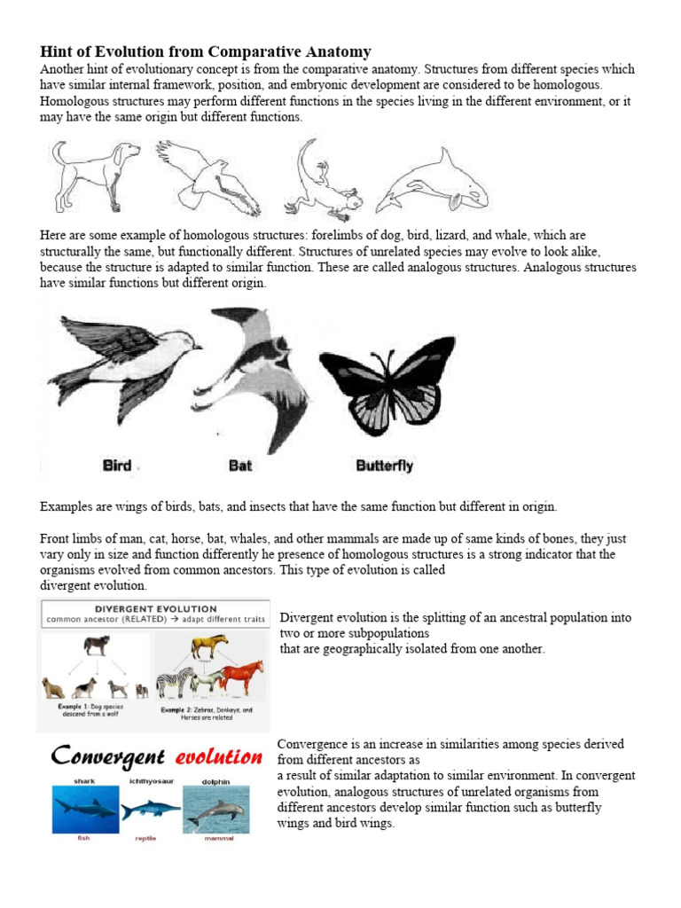 Hint of Evolution From Comparative Anatomy | PDF