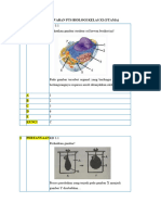 Template - Soal - PTS BIO XI UTAMA GANJIL