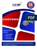 Folleto Caseton 2020