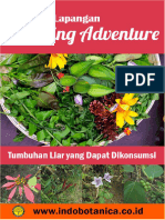 Panduan Lapangan Foraging Adventure