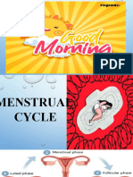 Menstrual Cycle