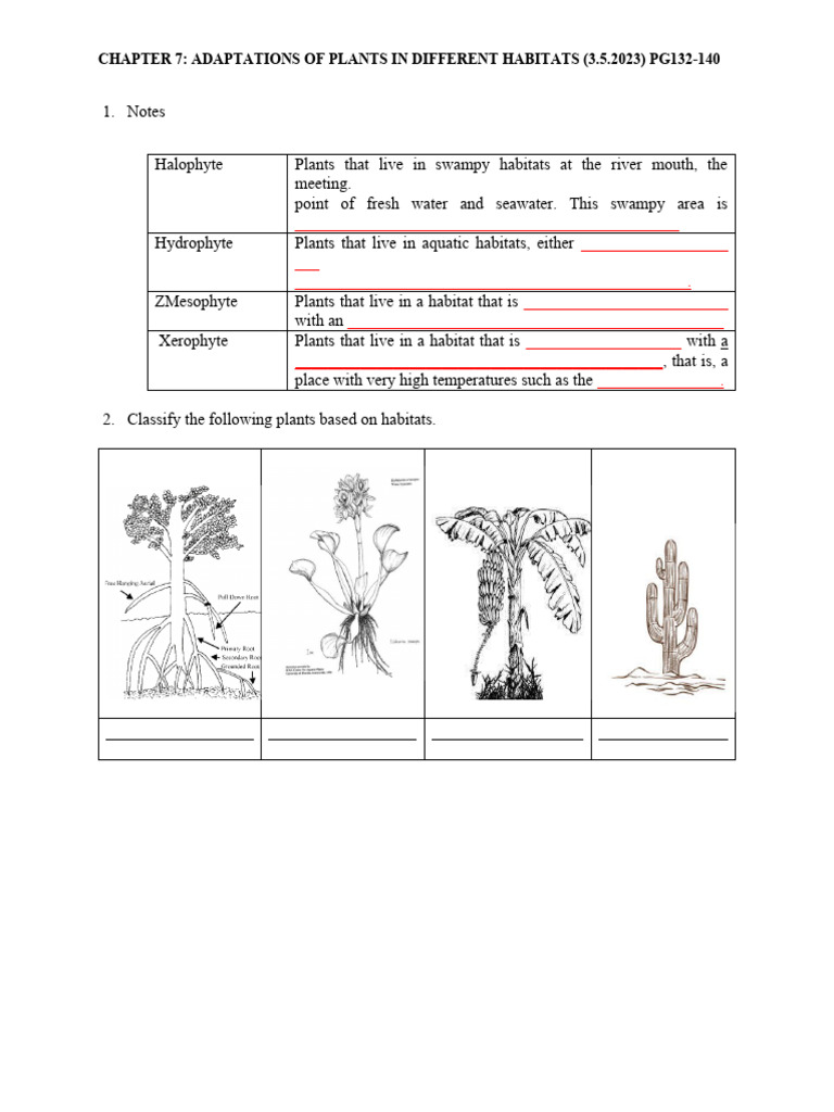 Chap 7 F5 BIOLOGY | PDF | Leaf | Plant Stem
