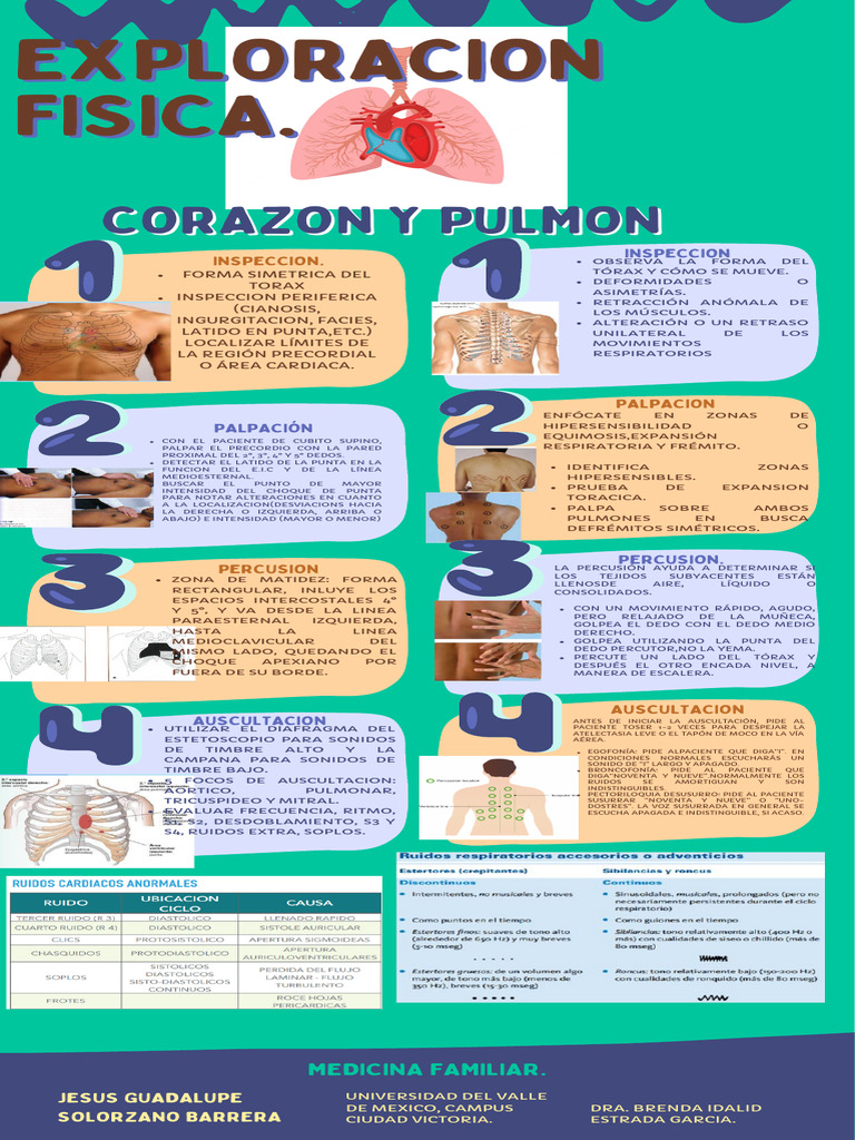 Infografia Exploracion de Pulmones y Corazon | PDF | Tórax (anatomía ...
