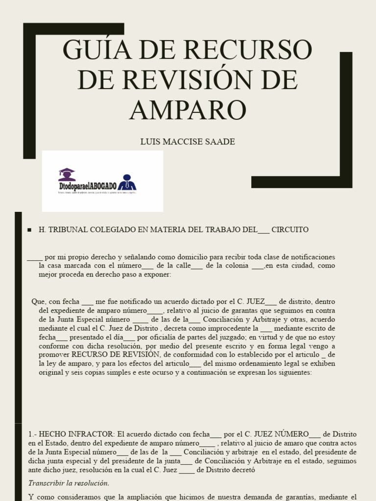 Guía de Recurso de Revisión de Amparo | Descargar gratis PDF | Demanda ...