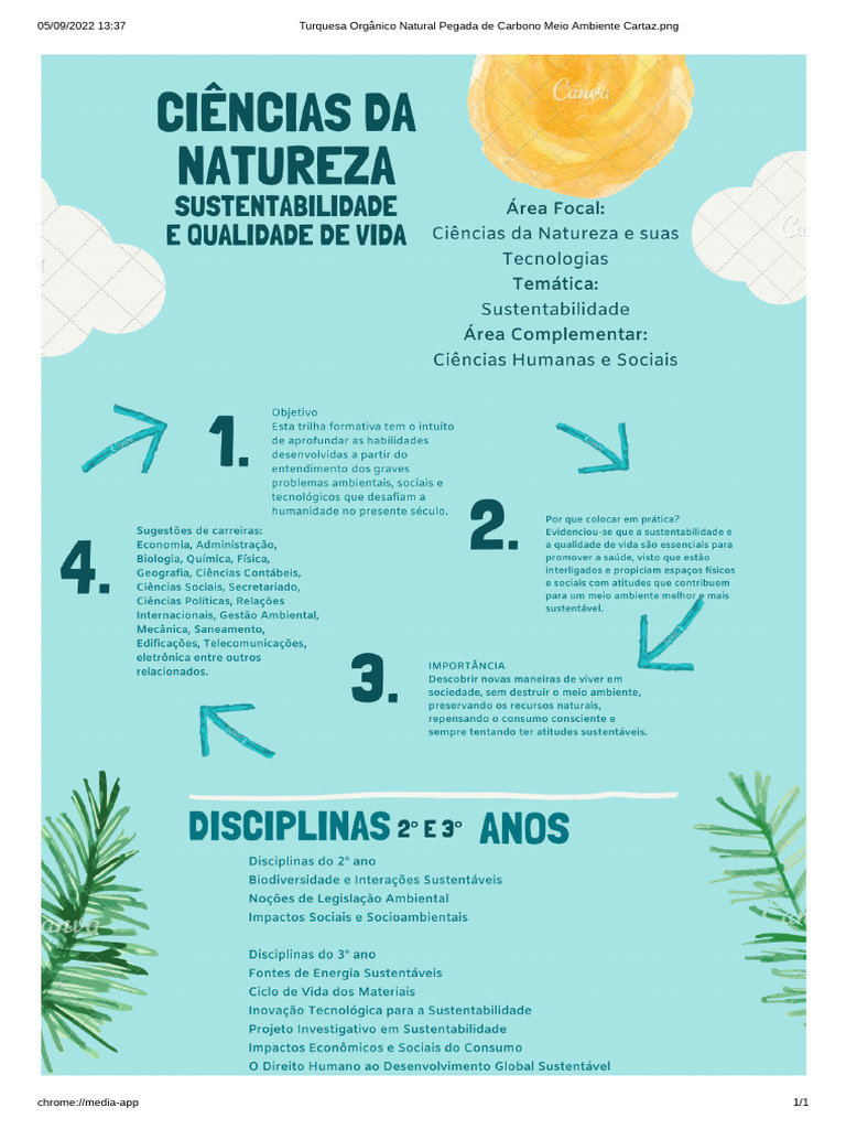 Ciências Da Natureza | PDF