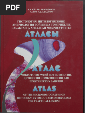 Мас күйдегі жалаңаш порно видеолар