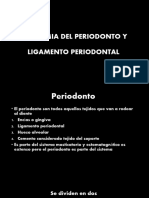 Anatomia Del Periodonto