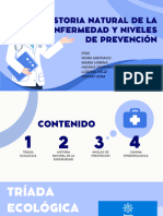 Niveles de Prevencion