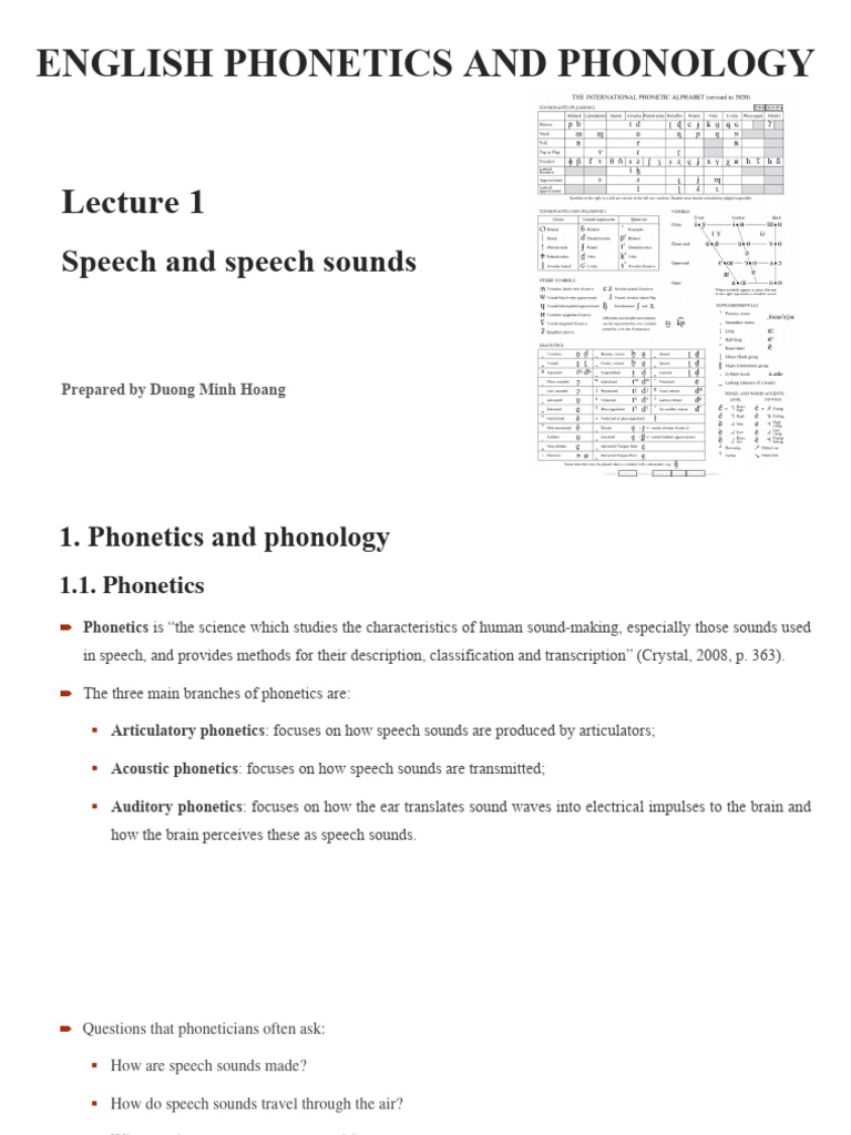 Understanding Speech Production Mechanics | PDF | Phoneme | Larynx
