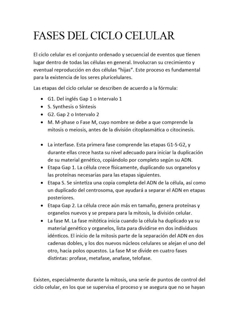 Fases Del Ciclo Celular | PDF | Mitosis | Ciclo celular