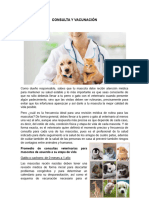 Servicios Médicos Veterinarios