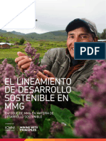 MMG Sustainable Development Framework - Spanish LR