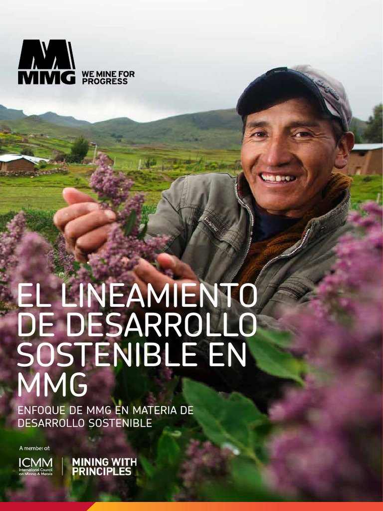 Mmg sustainable development framework spanish lr descargar gratis