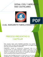 260690934-Medidas Cautelares