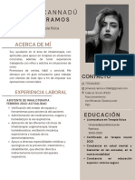 Currículum CV Diseñadora Web Profesional Marron Blanco