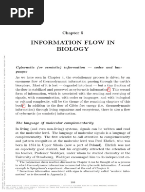 JohnScalesAvery 2012 5INFORMATIONFLOWINBIO InformationTheoryAndE