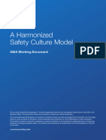 ML20219A759 IAEA Safety Culture Model