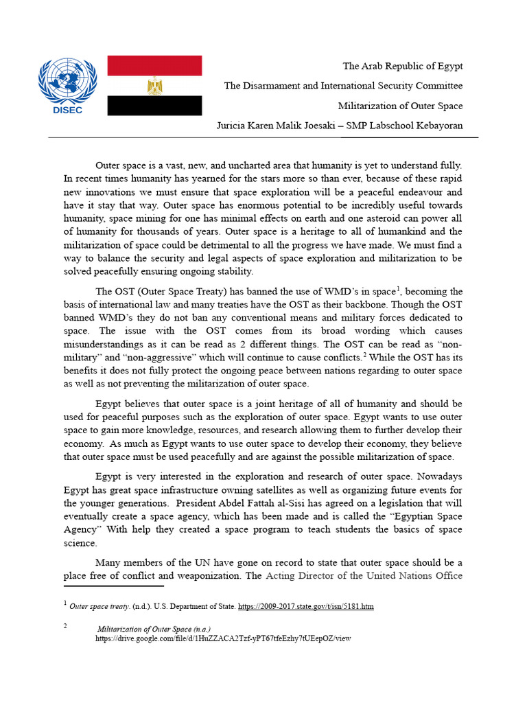 Disec Egypt Pdf United Nations International Relations