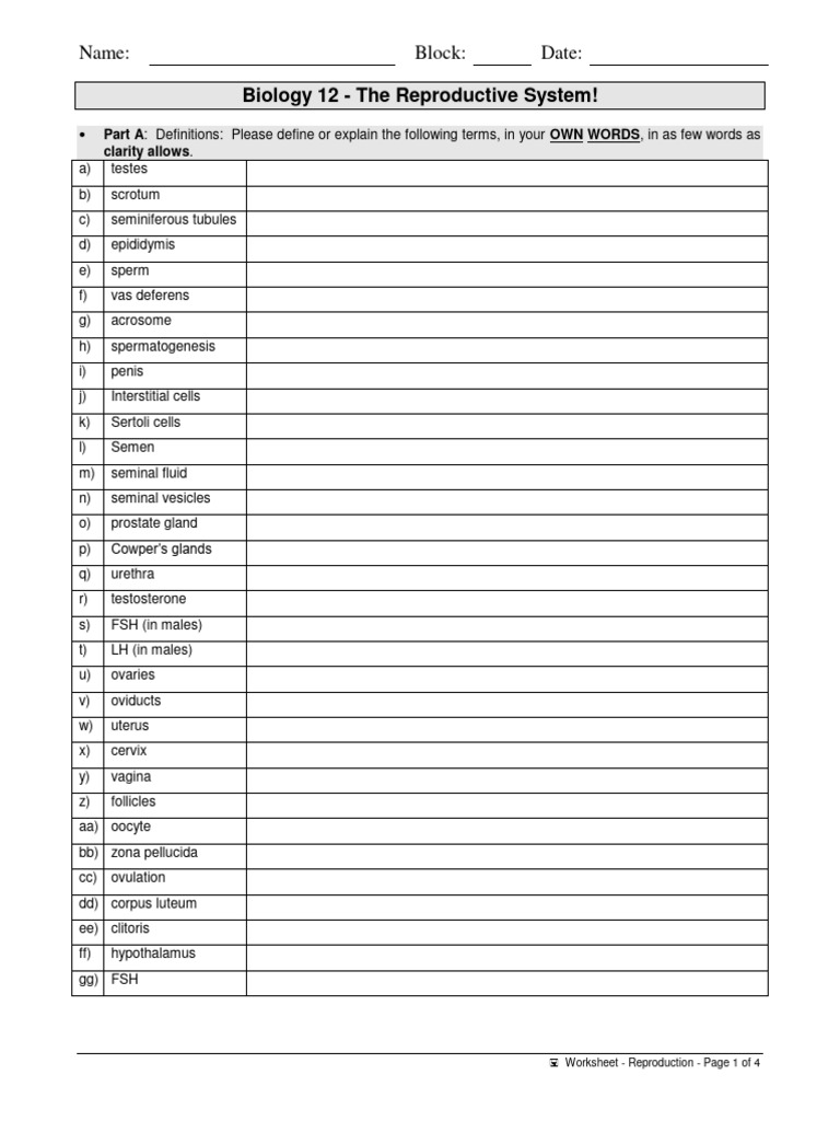 Worksheet - Reproduction | PDF | Menstrual Cycle | Sex