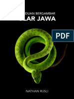 Ular Jawa: Panduan Bergambar