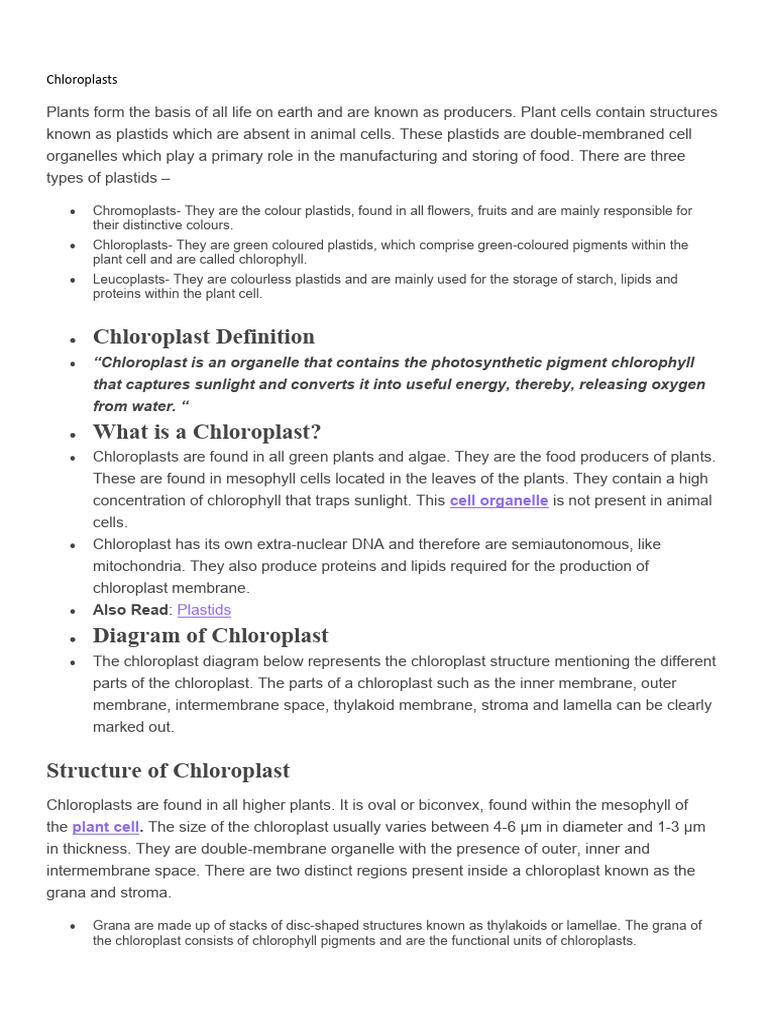 Chloroplasts | PDF | Chloroplast | Photosynthesis