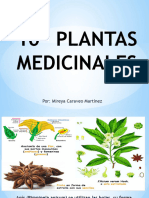10 Plantas Medicinales