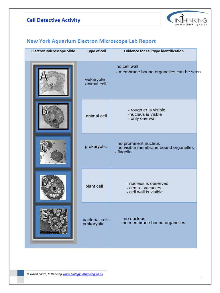 Electron Micro Cell Dective Biologist Report 1 | PDF